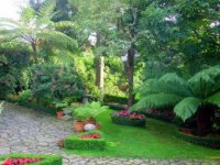 /album/fotogaleria-jardineria-y-paisajismo/images-28-jpg/
